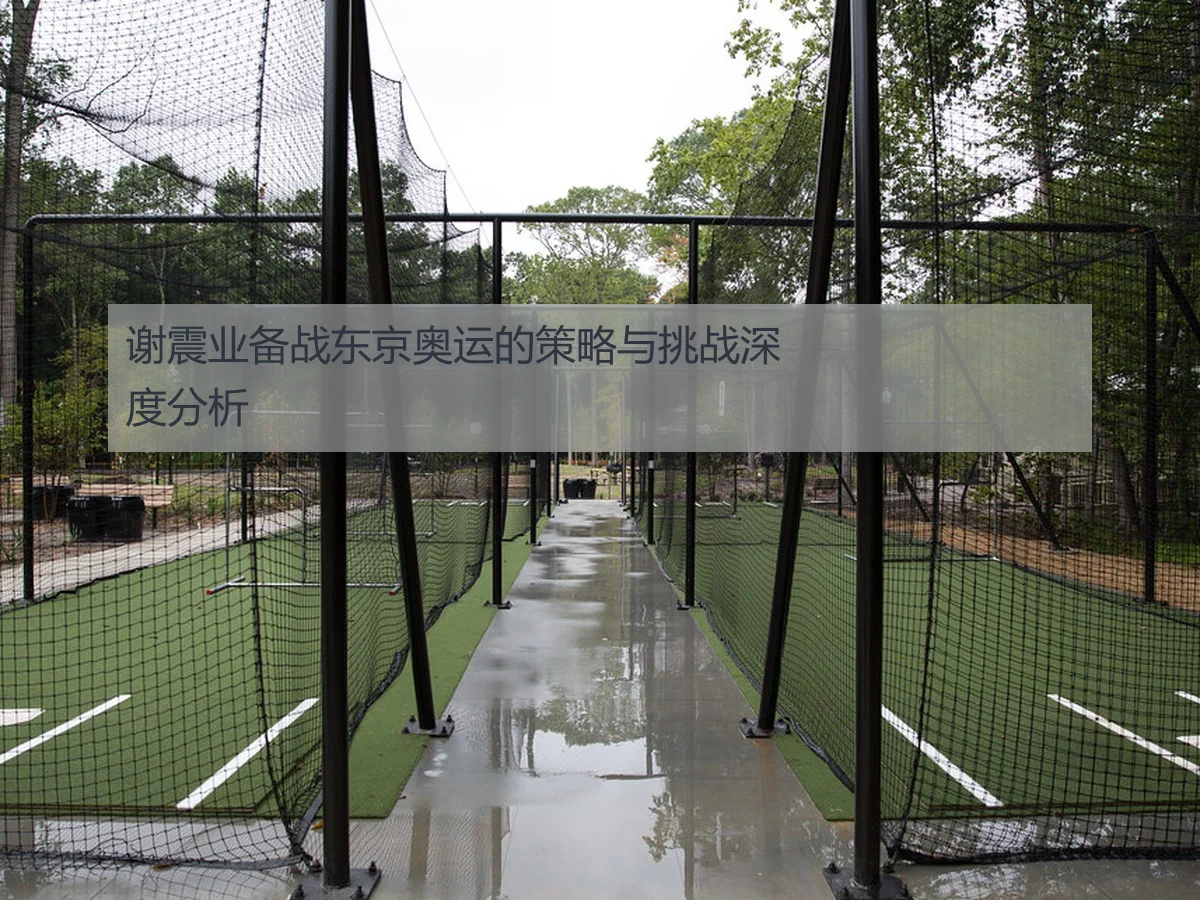 谢震业备战东京奥运的策略与挑战深度分析